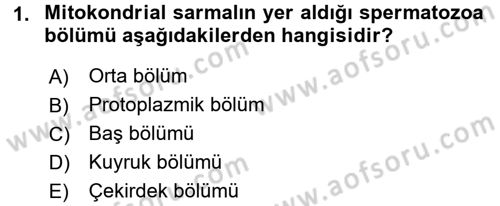 Doğum Bilgisi ve Suni Tohumlama Dersi 2017 - 2018 Yılı 3 Ders Sınav Soruları 1. Soru
