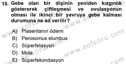 Doğum Bilgisi ve Suni Tohumlama Dersi 2017 - 2018 Yılı 3 Ders Sınav Soruları 10. Soru