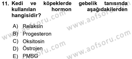 Doğum Bilgisi ve Suni Tohumlama Dersi 2017 - 2018 Yılı 3 Ders Sınav Soruları 11. Soru