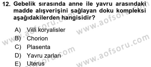 Doğum Bilgisi ve Suni Tohumlama Dersi 2017 - 2018 Yılı 3 Ders Sınav Soruları 12. Soru