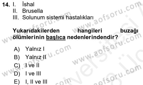 Doğum Bilgisi ve Suni Tohumlama Dersi 2017 - 2018 Yılı 3 Ders Sınav Soruları 14. Soru