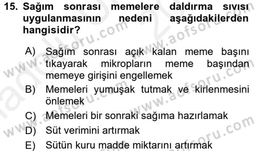 Doğum Bilgisi ve Suni Tohumlama Dersi 2017 - 2018 Yılı 3 Ders Sınav Soruları 15. Soru