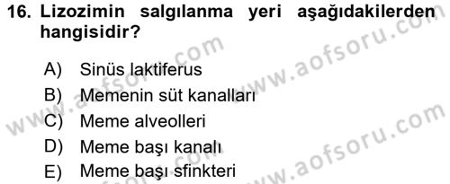 Doğum Bilgisi ve Suni Tohumlama Dersi 2017 - 2018 Yılı 3 Ders Sınav Soruları 16. Soru