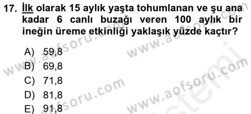 Doğum Bilgisi ve Suni Tohumlama Dersi 2017 - 2018 Yılı 3 Ders Sınav Soruları 17. Soru