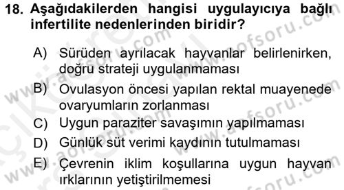 Doğum Bilgisi ve Suni Tohumlama Dersi 2017 - 2018 Yılı 3 Ders Sınav Soruları 18. Soru