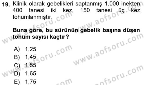 Doğum Bilgisi ve Suni Tohumlama Dersi 2017 - 2018 Yılı 3 Ders Sınav Soruları 19. Soru
