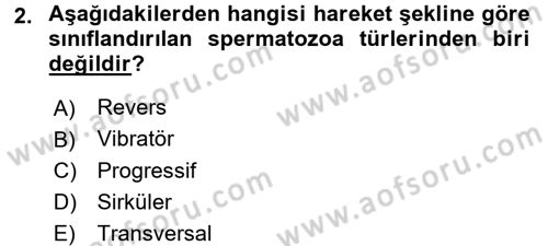 Doğum Bilgisi ve Suni Tohumlama Dersi 2017 - 2018 Yılı 3 Ders Sınav Soruları 2. Soru