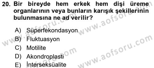 Doğum Bilgisi ve Suni Tohumlama Dersi 2017 - 2018 Yılı 3 Ders Sınav Soruları 20. Soru