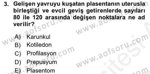 Doğum Bilgisi ve Suni Tohumlama Dersi 2017 - 2018 Yılı 3 Ders Sınav Soruları 3. Soru