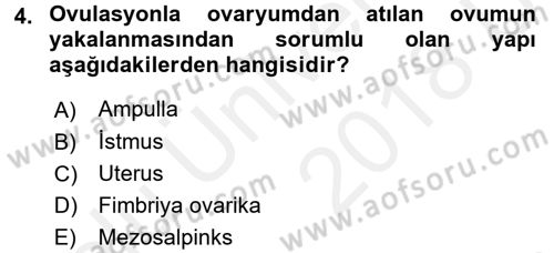 Doğum Bilgisi ve Suni Tohumlama Dersi 2017 - 2018 Yılı 3 Ders Sınav Soruları 4. Soru