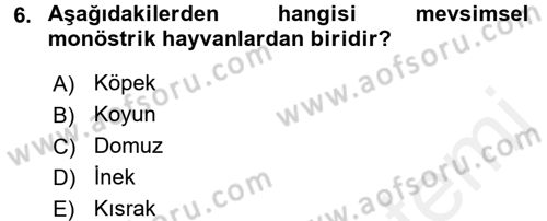 Doğum Bilgisi ve Suni Tohumlama Dersi 2017 - 2018 Yılı 3 Ders Sınav Soruları 6. Soru