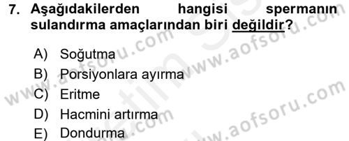 Doğum Bilgisi ve Suni Tohumlama Dersi 2017 - 2018 Yılı 3 Ders Sınav Soruları 7. Soru