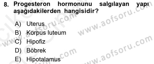 Doğum Bilgisi ve Suni Tohumlama Dersi 2017 - 2018 Yılı 3 Ders Sınav Soruları 8. Soru