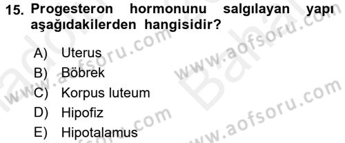 Doğum Bilgisi ve Suni Tohumlama Dersi 2017 - 2018 Yılı (Vize) Ara Sınavı 15. Soru