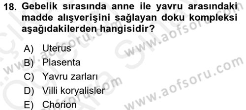 Doğum Bilgisi ve Suni Tohumlama Dersi 2017 - 2018 Yılı (Vize) Ara Sınavı 18. Soru