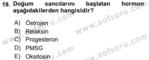 Doğum Bilgisi ve Suni Tohumlama Dersi 2017 - 2018 Yılı (Vize) Ara Sınavı 19. Soru