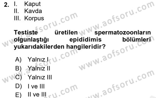 Doğum Bilgisi ve Suni Tohumlama Dersi 2017 - 2018 Yılı (Vize) Ara Sınavı 2. Soru