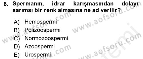 Doğum Bilgisi ve Suni Tohumlama Dersi 2017 - 2018 Yılı (Vize) Ara Sınavı 6. Soru