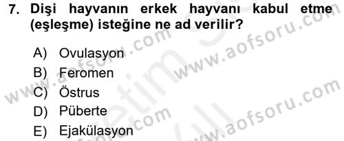 Doğum Bilgisi ve Suni Tohumlama Dersi 2017 - 2018 Yılı (Vize) Ara Sınavı 7. Soru