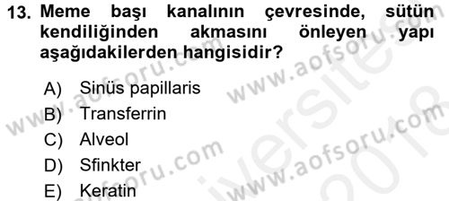Doğum Bilgisi ve Suni Tohumlama Dersi 2017 - 2018 Yılı (Final) Dönem Sonu Sınav Soruları 13. Soru