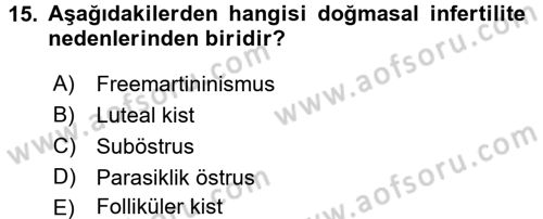 Doğum Bilgisi ve Suni Tohumlama Dersi 2017 - 2018 Yılı (Final) Dönem Sonu Sınav Soruları 15. Soru
