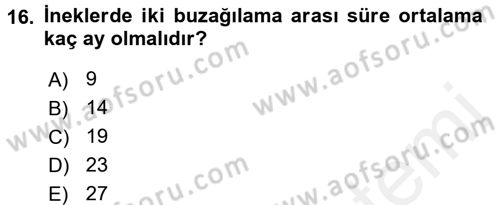 Doğum Bilgisi ve Suni Tohumlama Dersi 2017 - 2018 Yılı (Final) Dönem Sonu Sınav Soruları 16. Soru