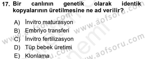 Doğum Bilgisi ve Suni Tohumlama Dersi 2017 - 2018 Yılı (Final) Dönem Sonu Sınav Soruları 17. Soru