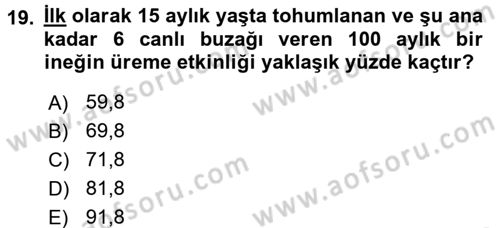 Doğum Bilgisi ve Suni Tohumlama Dersi 2017 - 2018 Yılı (Final) Dönem Sonu Sınav Soruları 19. Soru