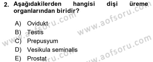 Doğum Bilgisi ve Suni Tohumlama Dersi 2017 - 2018 Yılı (Final) Dönem Sonu Sınav Soruları 2. Soru