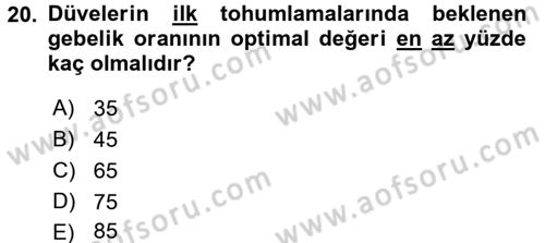 Doğum Bilgisi ve Suni Tohumlama Dersi 2017 - 2018 Yılı (Final) Dönem Sonu Sınav Soruları 20. Soru