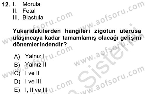 Doğum Bilgisi ve Suni Tohumlama Dersi 2018 - 2019 Yılı 3 Ders Sınav Soruları 12. Soru
