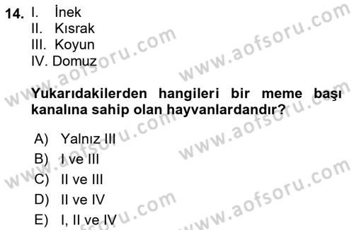 Doğum Bilgisi ve Suni Tohumlama Dersi 2018 - 2019 Yılı 3 Ders Sınav Soruları 14. Soru