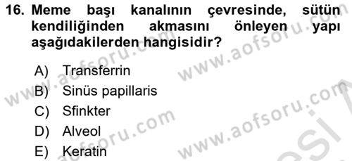 Doğum Bilgisi ve Suni Tohumlama Dersi 2018 - 2019 Yılı 3 Ders Sınav Soruları 16. Soru