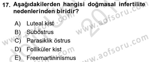 Doğum Bilgisi ve Suni Tohumlama Dersi 2018 - 2019 Yılı 3 Ders Sınav Soruları 17. Soru