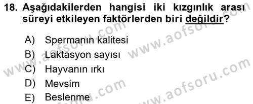 Doğum Bilgisi ve Suni Tohumlama Dersi 2018 - 2019 Yılı 3 Ders Sınav Soruları 18. Soru