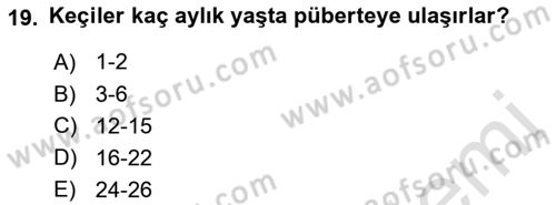 Doğum Bilgisi ve Suni Tohumlama Dersi 2018 - 2019 Yılı 3 Ders Sınav Soruları 19. Soru