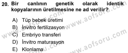 Doğum Bilgisi ve Suni Tohumlama Dersi 2018 - 2019 Yılı 3 Ders Sınav Soruları 20. Soru