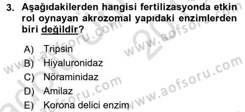 Doğum Bilgisi ve Suni Tohumlama Dersi 2018 - 2019 Yılı 3 Ders Sınav Soruları 3. Soru
