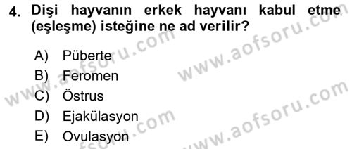 Doğum Bilgisi ve Suni Tohumlama Dersi 2018 - 2019 Yılı 3 Ders Sınav Soruları 4. Soru