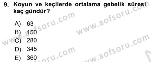 Doğum Bilgisi ve Suni Tohumlama Dersi 2018 - 2019 Yılı 3 Ders Sınav Soruları 9. Soru