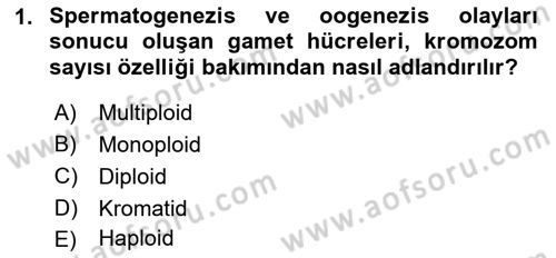 Doğum Bilgisi ve Suni Tohumlama Dersi 2018 - 2019 Yılı (Vize) Ara Sınav Soruları 1. Soru