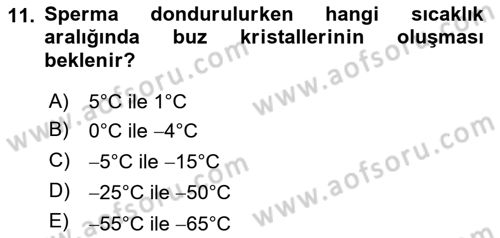 Doğum Bilgisi ve Suni Tohumlama Dersi 2018 - 2019 Yılı (Vize) Ara Sınav Soruları 11. Soru
