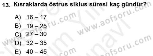 Doğum Bilgisi ve Suni Tohumlama Dersi 2018 - 2019 Yılı (Vize) Ara Sınav Soruları 13. Soru
