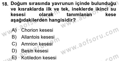 Doğum Bilgisi ve Suni Tohumlama Dersi 2018 - 2019 Yılı (Vize) Ara Sınav Soruları 18. Soru