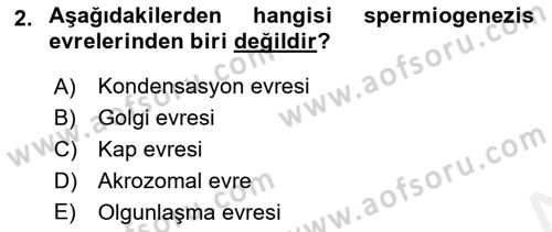 Doğum Bilgisi ve Suni Tohumlama Dersi 2018 - 2019 Yılı (Vize) Ara Sınav Soruları 2. Soru