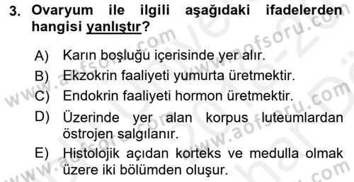 Doğum Bilgisi ve Suni Tohumlama Dersi 2018 - 2019 Yılı (Vize) Ara Sınav Soruları 3. Soru