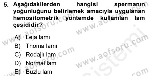 Doğum Bilgisi ve Suni Tohumlama Dersi 2018 - 2019 Yılı (Vize) Ara Sınav Soruları 5. Soru