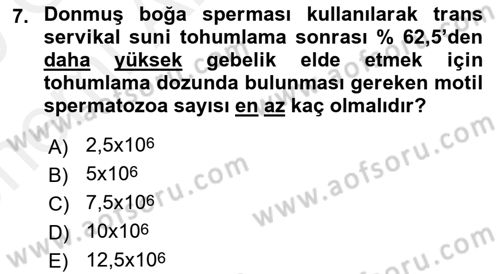Doğum Bilgisi ve Suni Tohumlama Dersi 2018 - 2019 Yılı (Vize) Ara Sınav Soruları 7. Soru