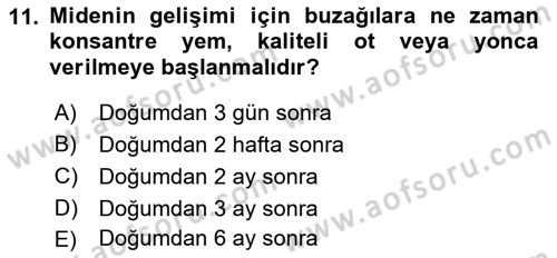 Doğum Bilgisi ve Suni Tohumlama Dersi 2018 - 2019 Yılı (Final) Dönem Sonu Sınavı 11. Soru