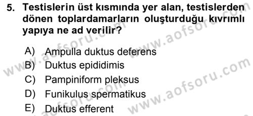 Doğum Bilgisi ve Suni Tohumlama Dersi 2018 - 2019 Yılı (Final) Dönem Sonu Sınavı 5. Soru